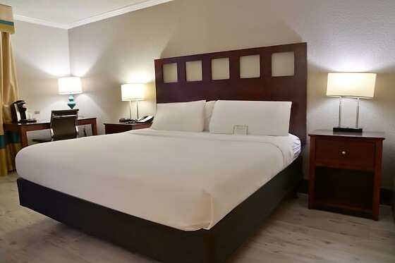 Online Booking EPS - photo 6