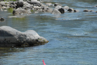 Kayak en Andújar (Jaén)
