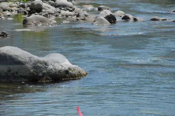 Kayak en Andújar (Jaén)