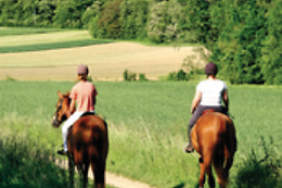 DOÑANA A CABALLO