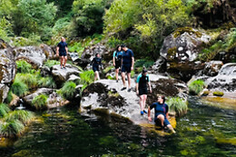 Montesa – Making Memories Experts