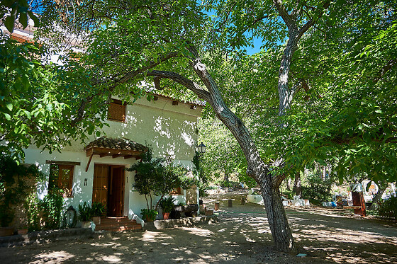 Dos noches con cena para 2 en Cortijo de Ramón en Cortijos Nuevos (Jaén)