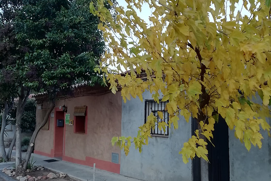 CASA RURAL LOS PINOS - photo 5