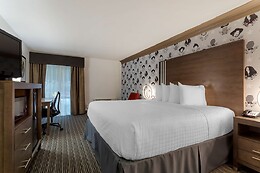 Online Booking EPS
