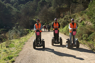 Tour turístico por Málaga