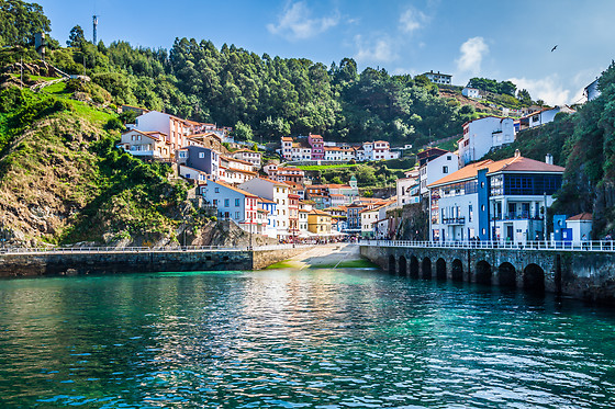 Vive Galicia