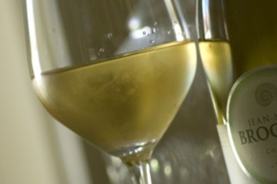 Domaine Brocard - photo 5