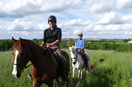 Un Poney, une histoire