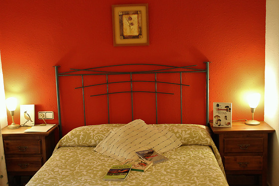 CASA GERBE - photo 3