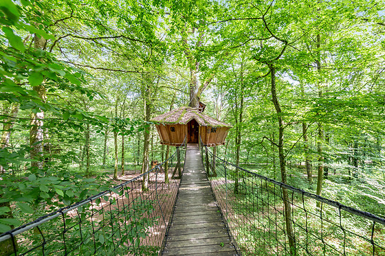 L'Arbre à Cabane - photo 13