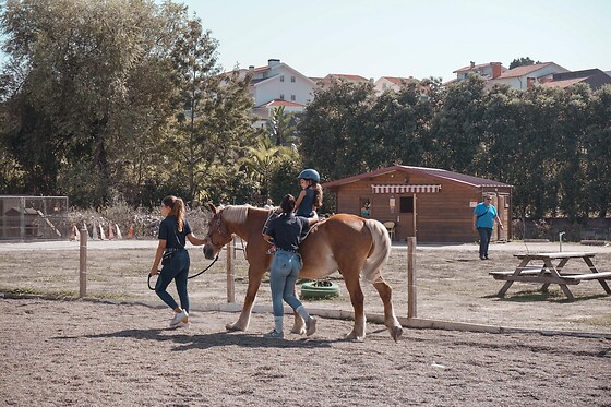QUINTINHA PEDAGÓGICA DE CANELAS | CENTRO EQUESTRE COUTO PEREIRA - photo 0