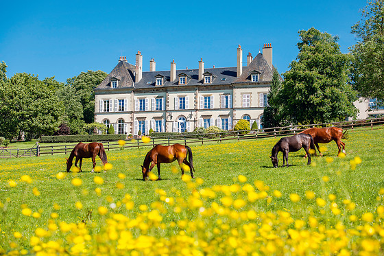 Château d'Ygrande - photo 9