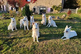 Les Pierres Davélie