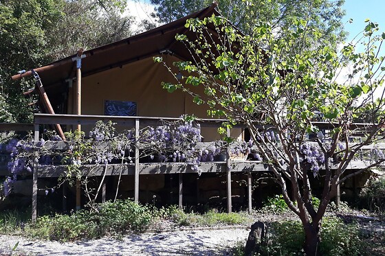 Quinta Japonesa - photo 35