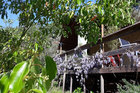 Quinta Japonesa - photo 36