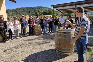 Una visita al viñedo y cata para 1 en Bodega El Seseo en Cehegín (Murcia)