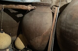Una visita al viñedo y cata para 1 en Bodega El Seseo en Cehegín (Murcia)