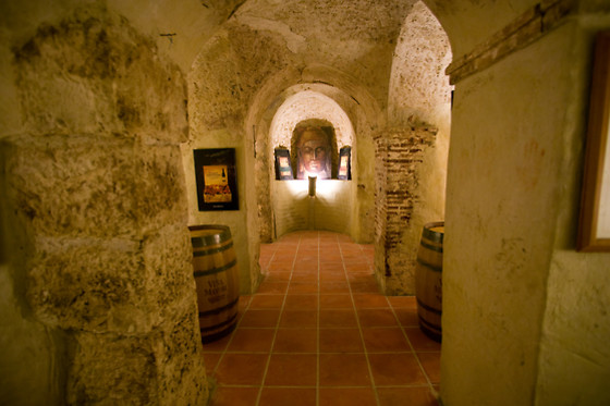 HOTEL SPA LA CASA DEL CONVENTO - photo 9