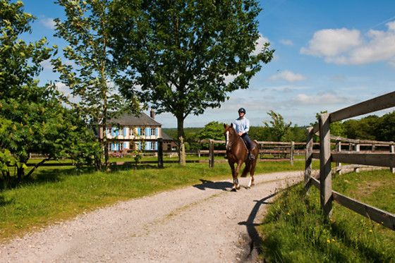Haras du Loup - photo 0