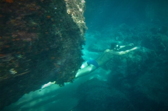 THE BLUE JUMP ECODIVING - photo 0