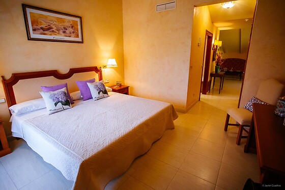 HOTEL AVENIDA - photo 0