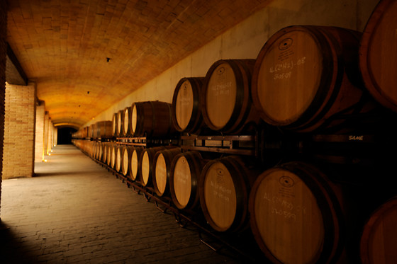 BODEGAS LUZON - photo 4