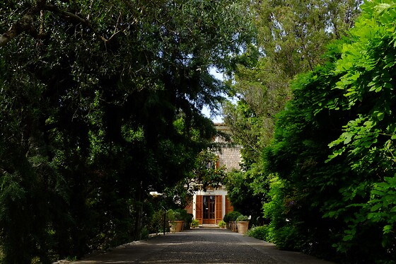 JARDIN BOTANICO DE SOLLER - photo 0