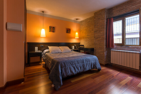 HOTEL LA FUENTE - photo 6