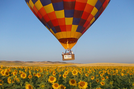 Un vuelo en globo para 1 adulto y 1 niño en Gloobo en Guadix (Granada)