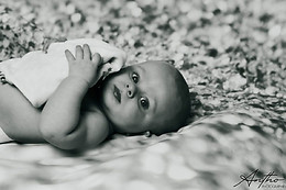 Antho Photographie