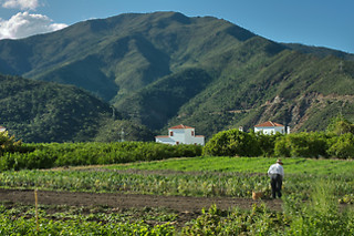 Hotel Cerro de Híjar en Tolox (Málaga)