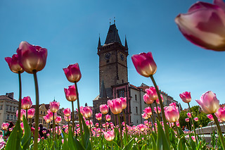 3 días en Praga