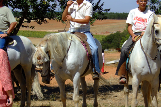 LA HIPICA - photo 3