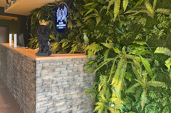 Du Commerce Oostburg - photo 5