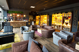 BODEGAS JAVIER SAN PEDRO ORTEGA