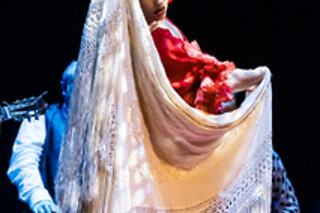 Una sesión General y Meet & Greet con los artistas para 2 en Teatro Flamenco Granada en Granada