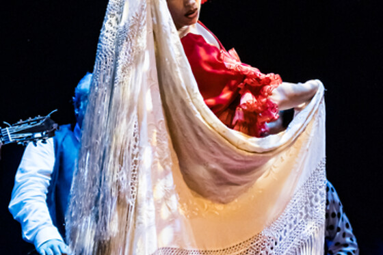 Una sesión General y Meet & Greet con los artistas para 2 en Teatro Flamenco Granada en Granada