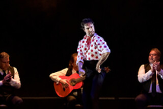 Una sesión General y Meet & Greet con los artistas para 2 en Teatro Flamenco Granada en Granada