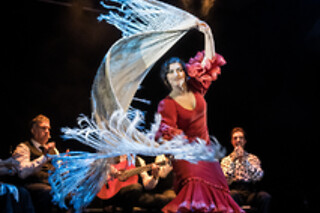 Una sesión General y Meet & Greet con los artistas para 2 en Teatro Flamenco Granada en Granada