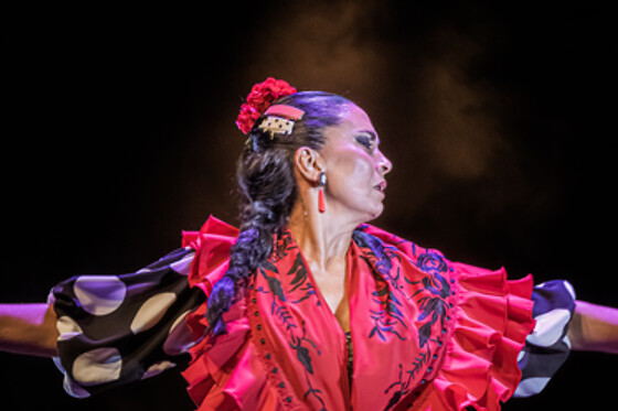 Una sesión General y Meet & Greet con los artistas para 2 en Teatro Flamenco Granada en Granada
