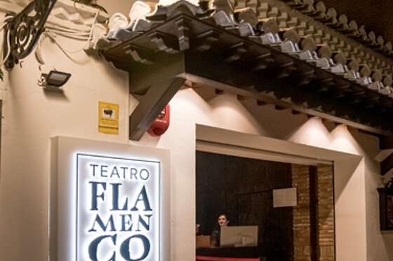 Una sesión General y Meet & Greet con los artistas para 2 en Teatro Flamenco Granada en Granada