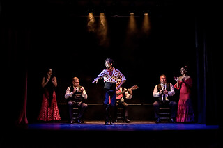 Una sesión General y Meet & Greet con los artistas para 2 en Teatro Flamenco Granada en Granada