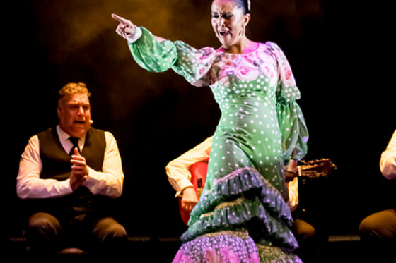 Una sesión General y Meet & Greet con los artistas para 2 en Teatro Flamenco Granada en Granada
