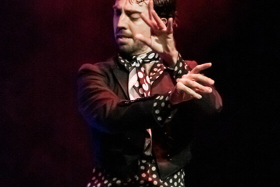 Una sesión General y Meet & Greet con los artistas para 2 en Teatro Flamenco Granada en Granada
