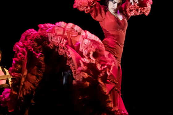 Una sesión General y Meet & Greet con los artistas para 2 en Teatro Flamenco Granada en Granada
