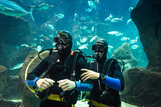 MADEIRA NATURE EXPERIENCE - photo 7