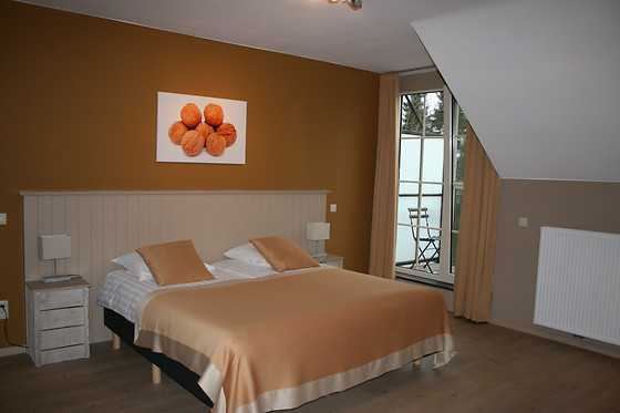 Fruithof Tack - photo 4