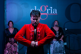 Espectáculo de flamenco en Málaga
