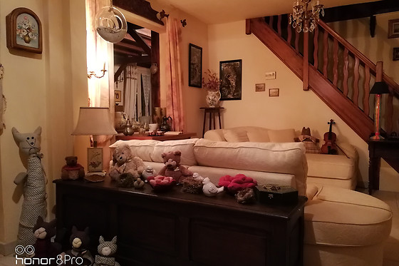 Demeure de la Vendémière - photo 4