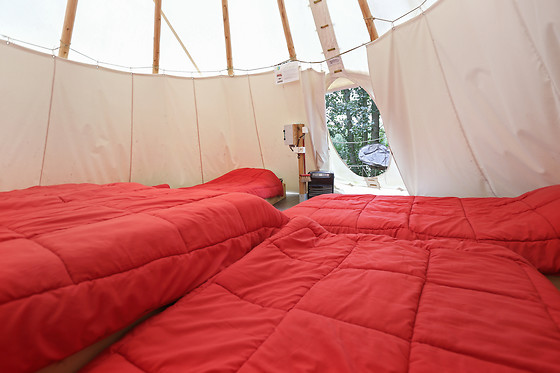 Camping les Rives de Grand Lieu - photo 4